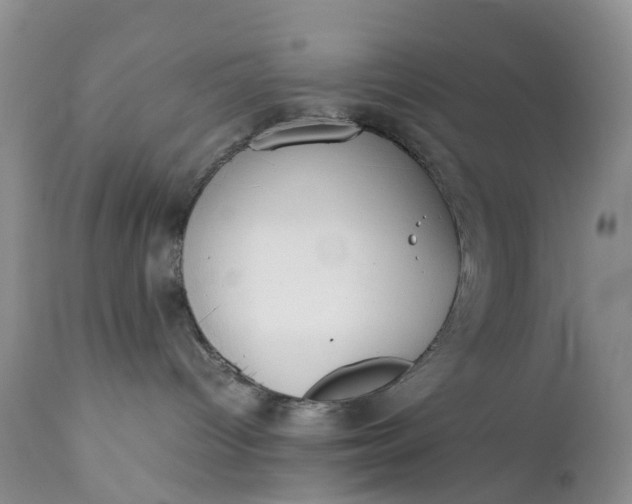 X0000111370096200907241256