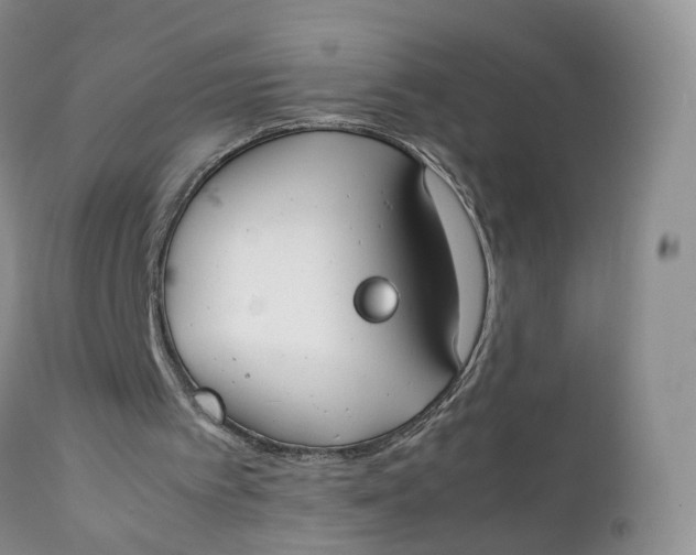 X0000111370097200907241256