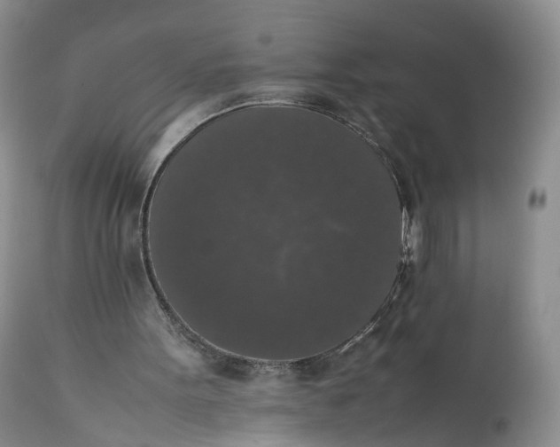 X0000111370099200907241256