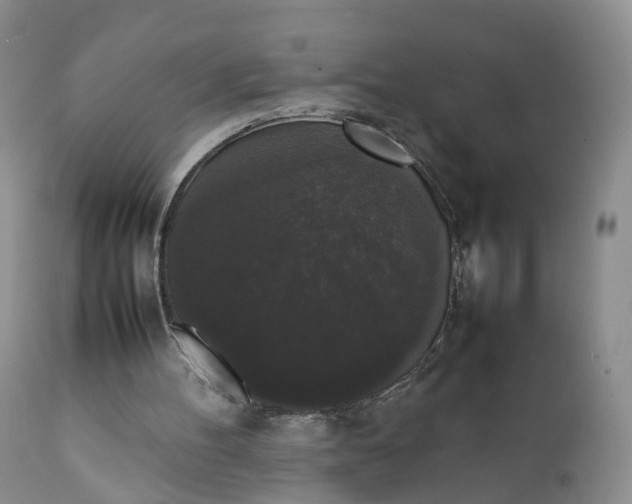 X0000111370100200907241256