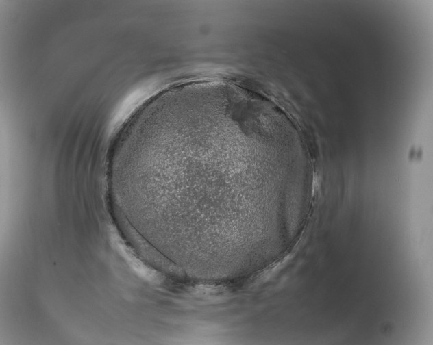 X0000111370101200907241256