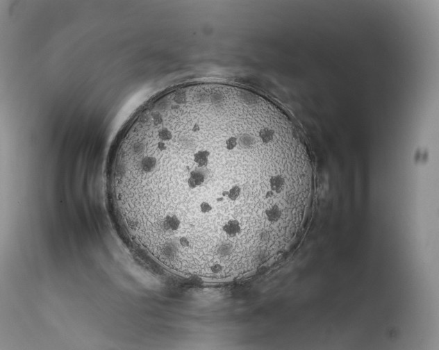 X0000111370102200907241256