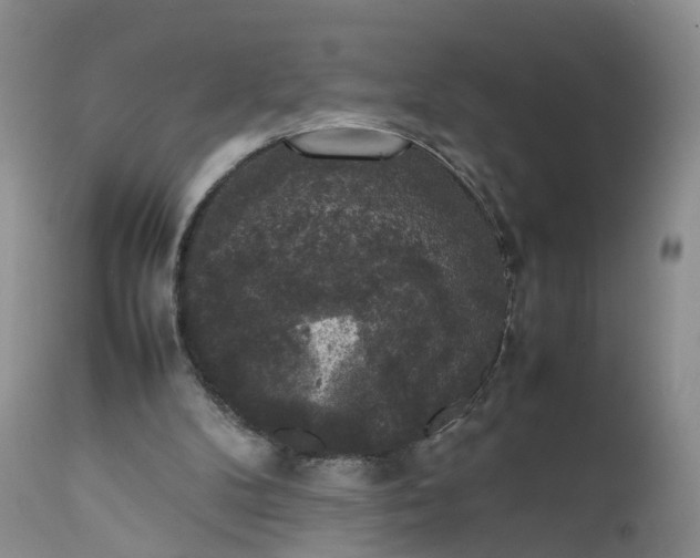 X0000111370104200907241256