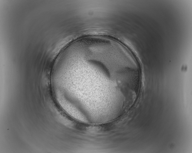 X0000111370105200907241256