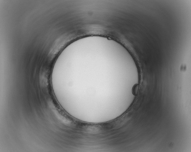 X0000111370106200907241255