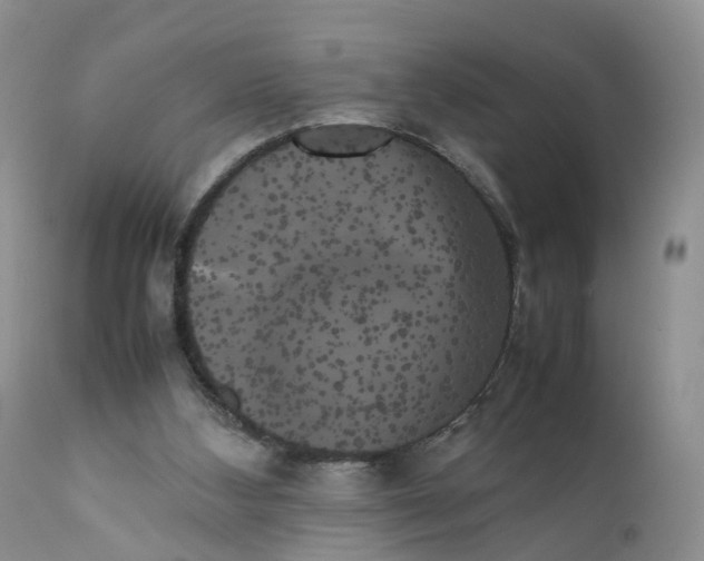 X0000111370108200907241255