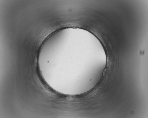 X0000111370109200907241255