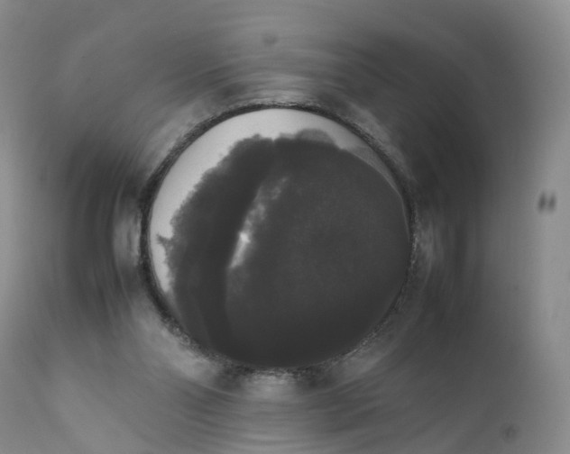 X0000111370110200907241255