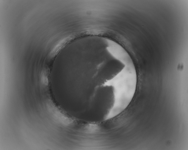 X0000111370114200907241255