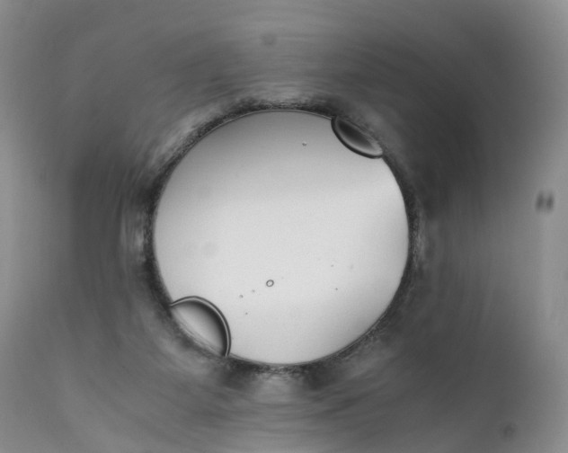 X0000111370115200907241255