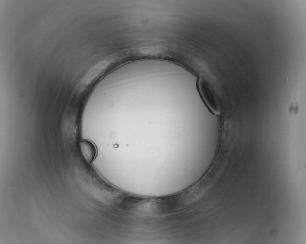 X0000111370116200907241255