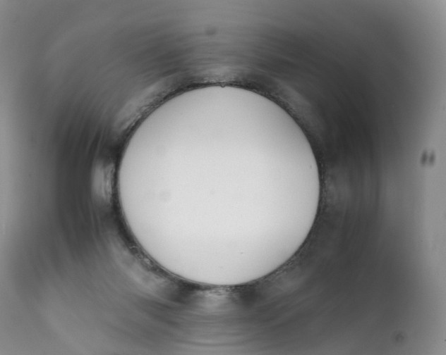 X0000111370118200907241255