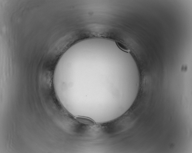 X0000111370121200907241255