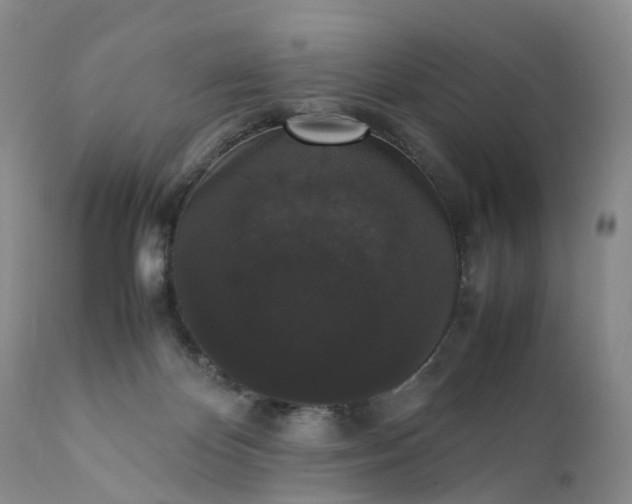 X0000111370124200907241255