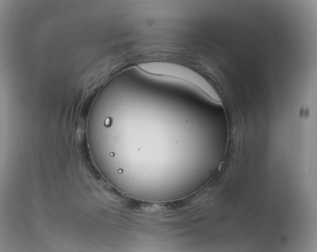 X0000111370125200907241255