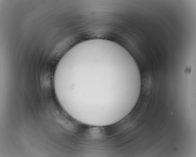 X0000111370126200907241255