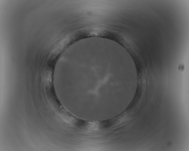 X0000111370127200907241255