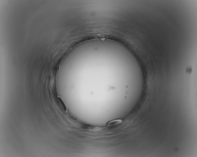 X0000111370129200907241255