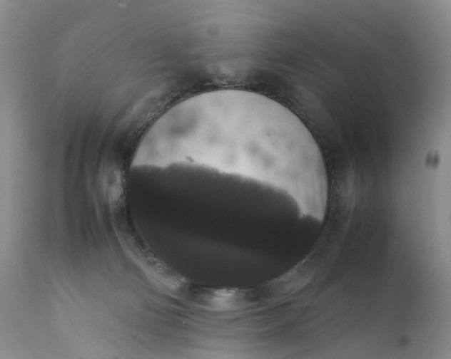 X0000111370130200907241255