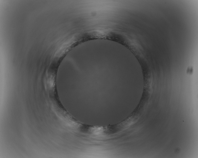 X0000111370131200907241255