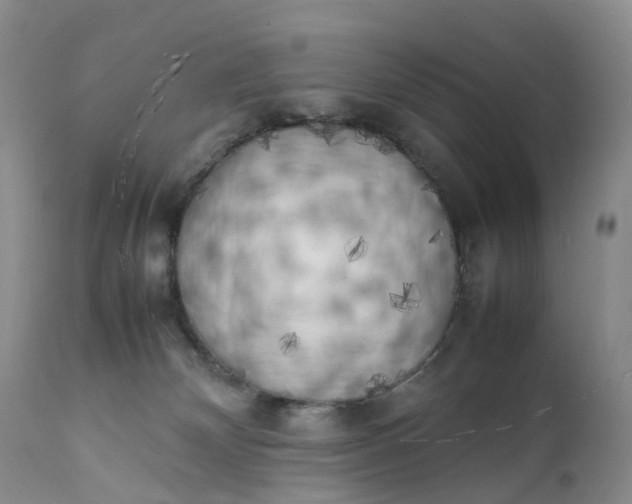 X0000111370132200907241255