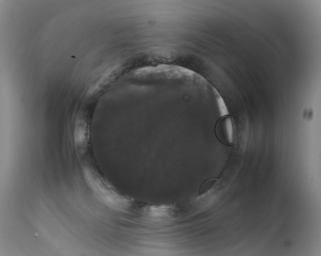 X0000111370134200907241255