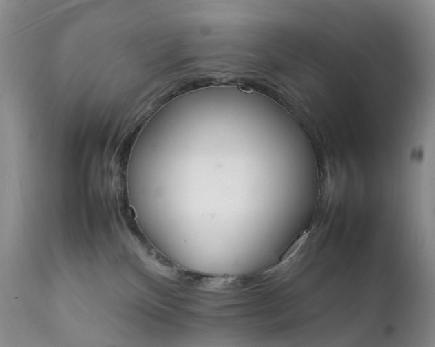 X0000111370136200907241255