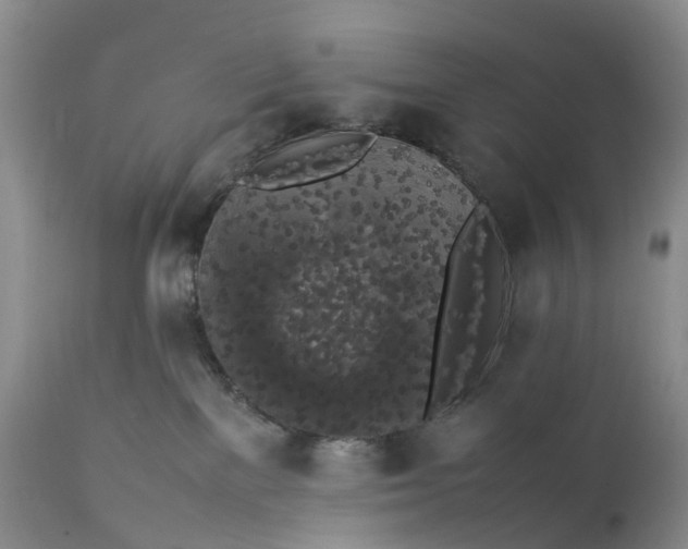 X0000111370137200907241255