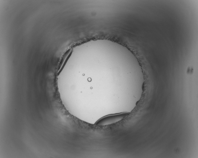 X0000111370144200907241255