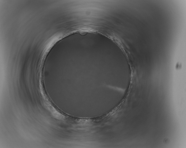 X0000111370145200907241254