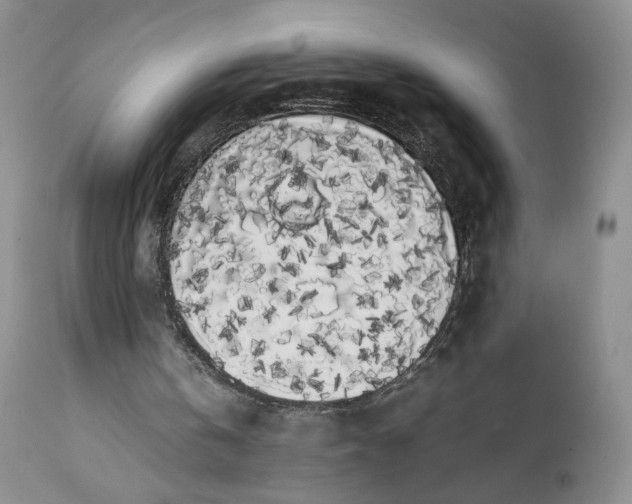 X0000111370146200907241254