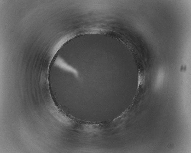 X0000111370147200907241254