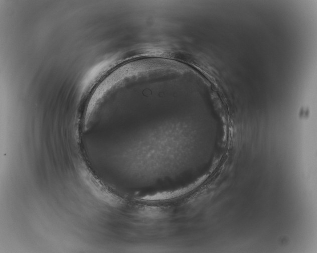 X0000111370149200907241254