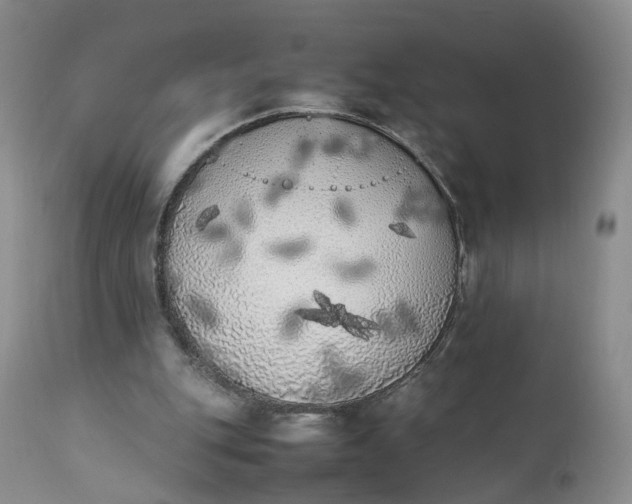 X0000111370151200907241254