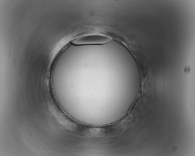 X0000111370152200907241254