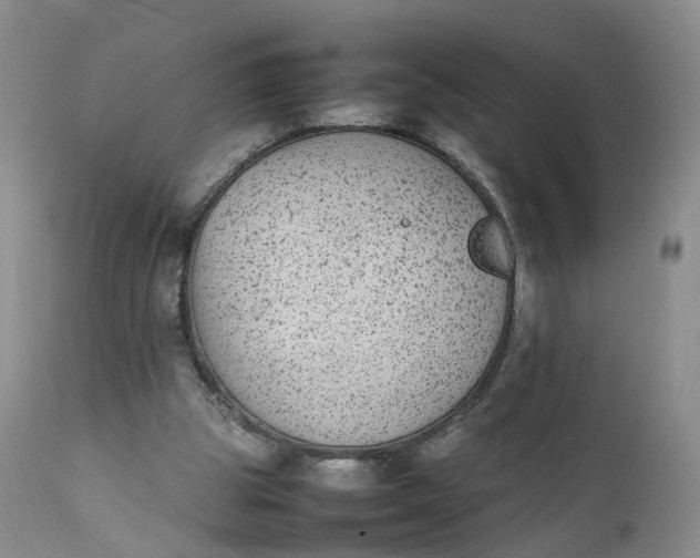 X0000111370153200907241254