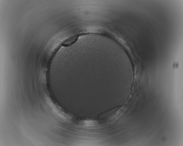 X0000111370154200907241254