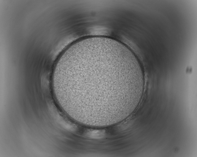 X0000111370155200907241254