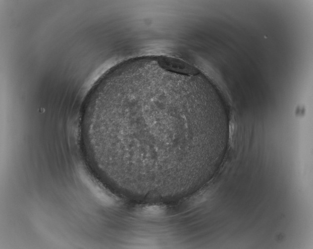 X0000111370156200907241254