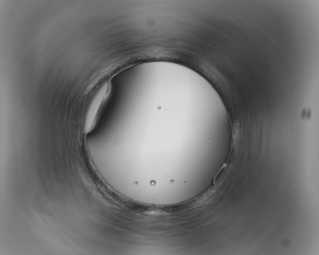 X0000111370158200907241254