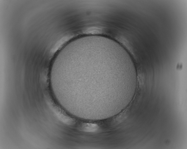 X0000111370159200907241254