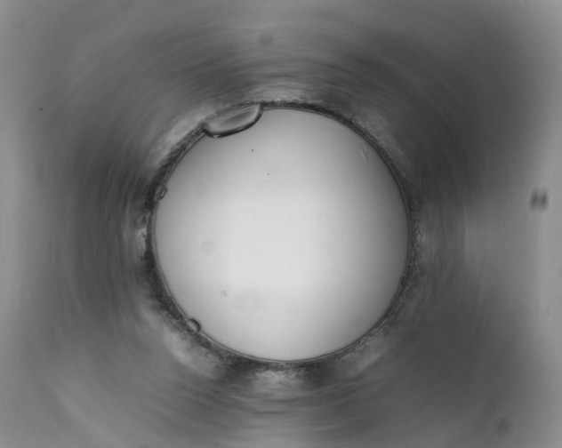 X0000111370160200907241254