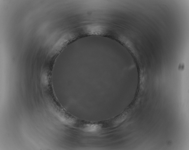 X0000111370161200907241254