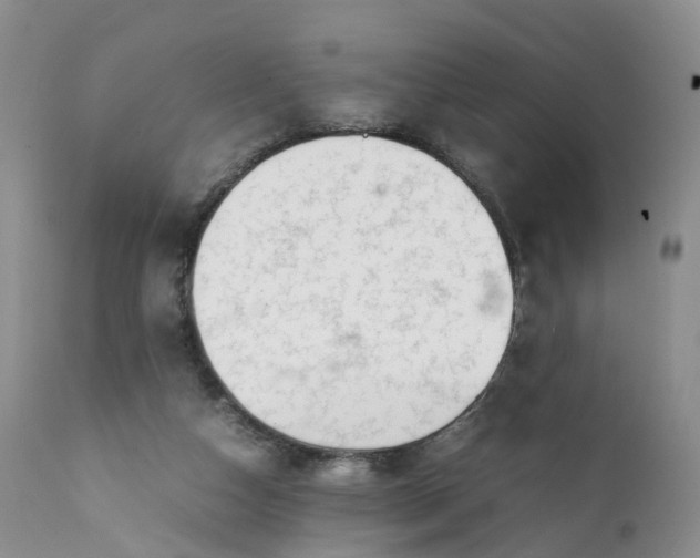 X0000111370162200907241254