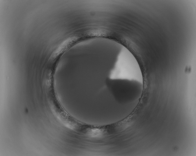 X0000111370163200907241254