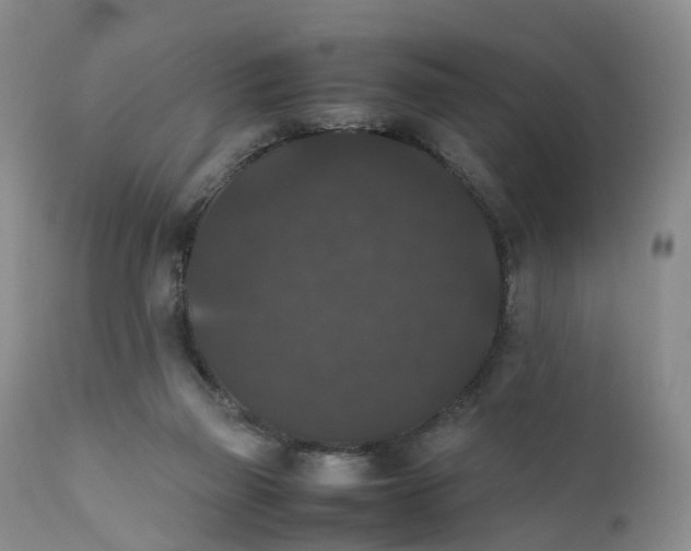 X0000111370165200907241254