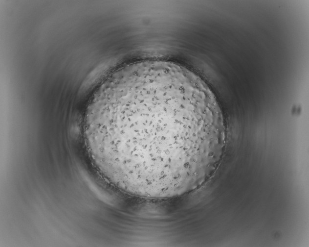 X0000111370166200907241254