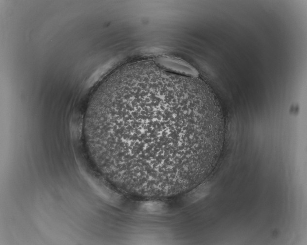 X0000111370168200907241254