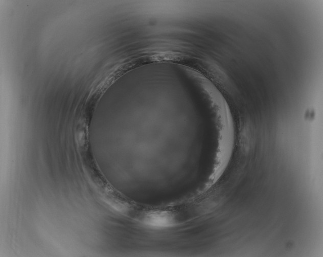 X0000111370169200907241254