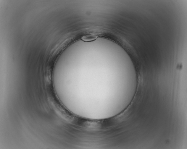 X0000111370170200907241254